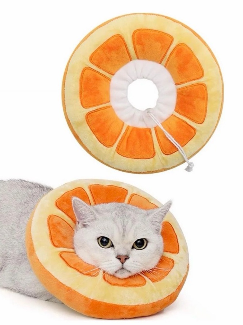 🐈🐩Anwa Orange Cat or Dog Pet Collar